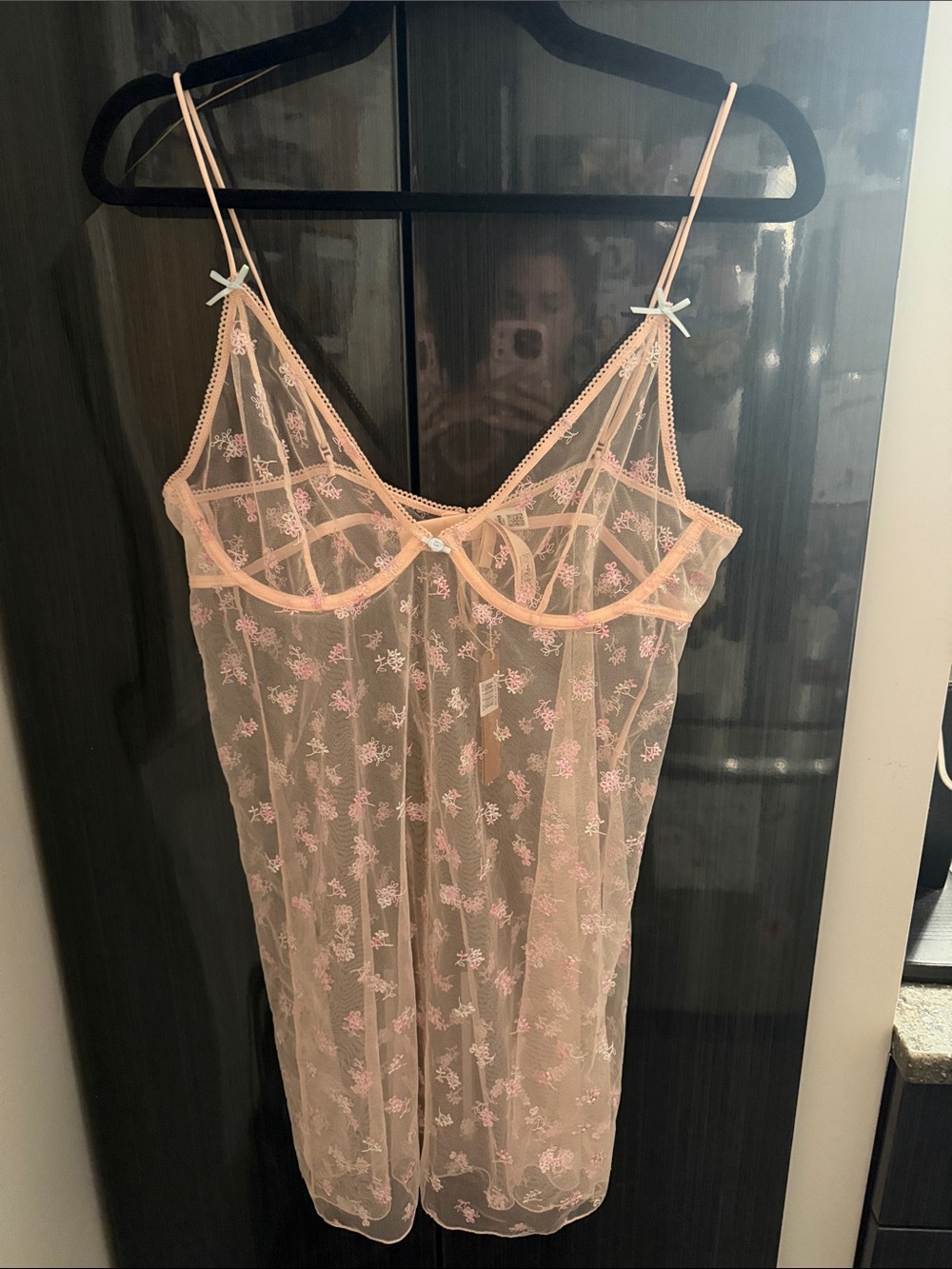 SKIMS Sheer Pink Mesh Slip Dress with Floral Embroidery. Never worn with tags